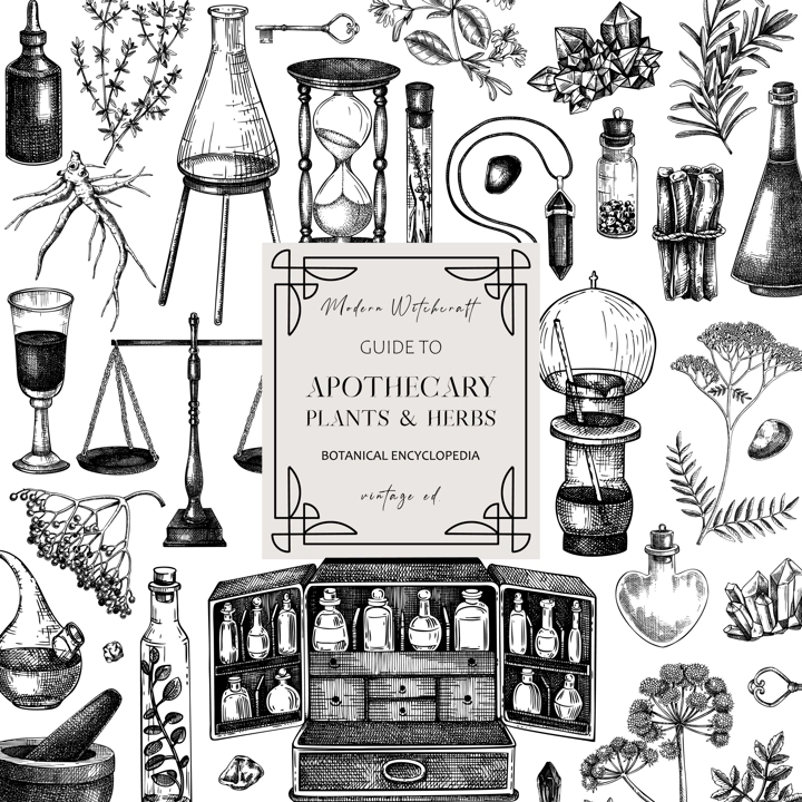 Antique apothecary hand-drawn vector illustration. Alchemy sketches. Vintage chemistry flyer design. NOT AI generated
